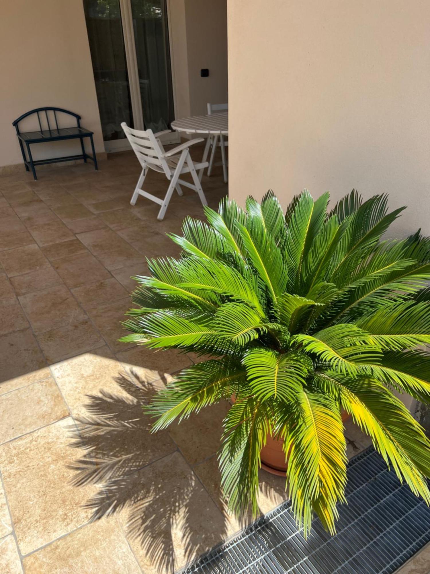 Villa Valentina Cefalù Buitenkant foto